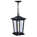 Leawood 1 Light Black Outdoor Hanging Light