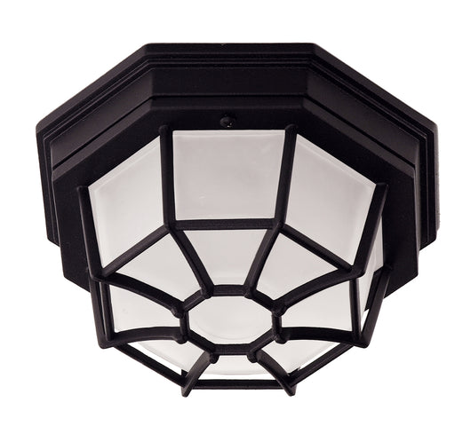 Exterior Collections Flush Mount