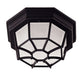 Exterior Collections Flush Mount