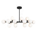 16 Light Chandelier with Black finish