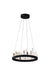 LED Chandelier with Black Finish