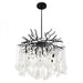 6 Light Chandelier with Black Finish