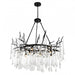 12 Light Chandelier with Black Finish