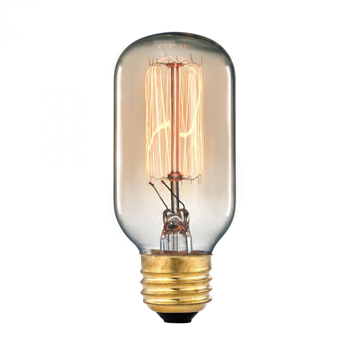 Filament Bulb - Gold, 60 Watts, A19 E26 Medium Base