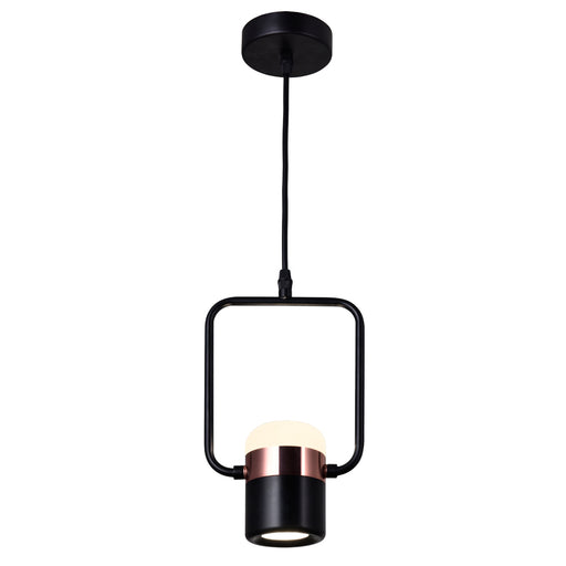 LED Down Mini Pendant with Black Finish