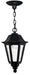 Medium Hanging Lantern