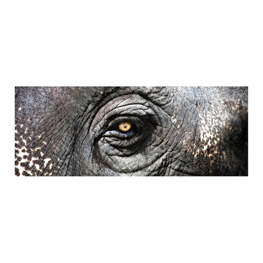 Elephant Study (Exclusive Gianni Rusconi Print on Canvas)