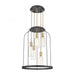 Sheena 5-Light Chandelier in Silverdust Iron with Clear Glass