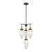 Shinzu 4-Light Chandelier in Oil Rubbed Bronze with Clear Water Glass