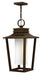 Medium Hanging Lantern