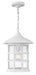 Large Hanging Lantern