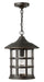 Large Hanging Lantern