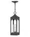 Medium Hanging Lantern