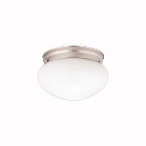 Flush Mount 1Lt