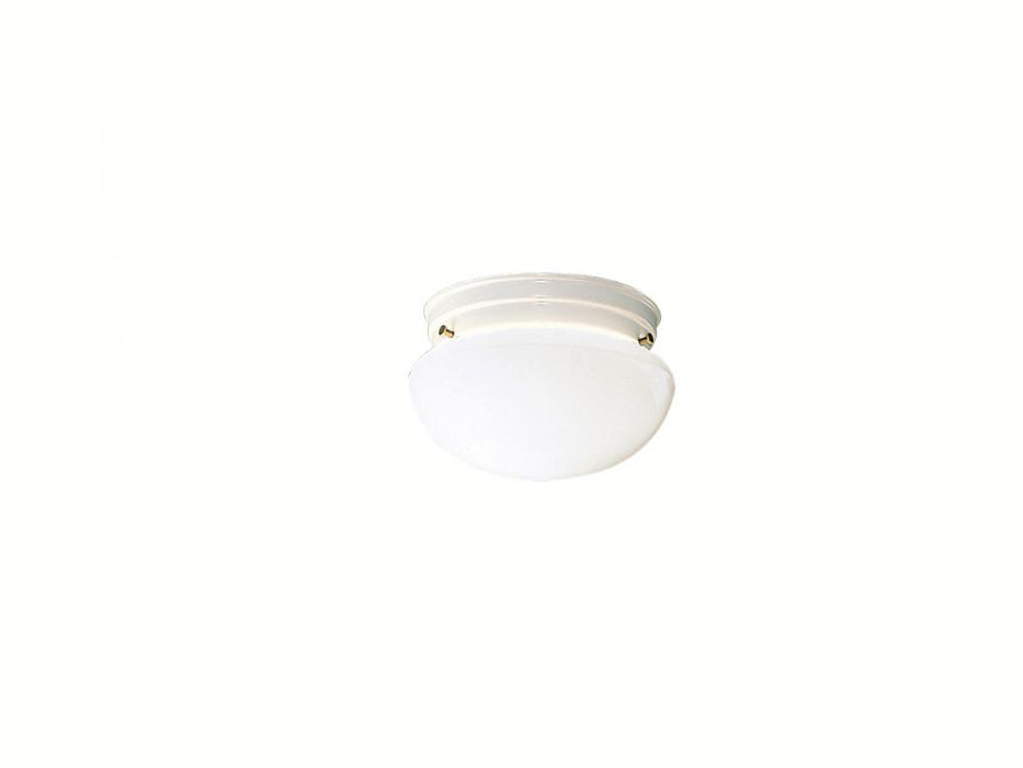 Flush Mount 1Lt