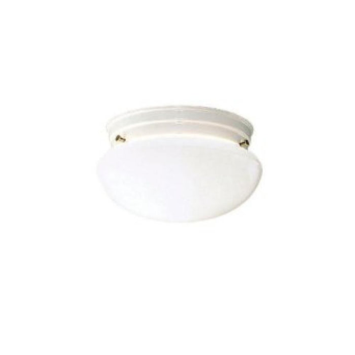 Flush Mount 2Lt