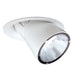 PULL DOWN,1LT,70W,MH,WHT