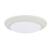 1 Light LED Flush Mount