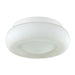 DISK,1LT FLUSHMOUNT,SMALL,WHT