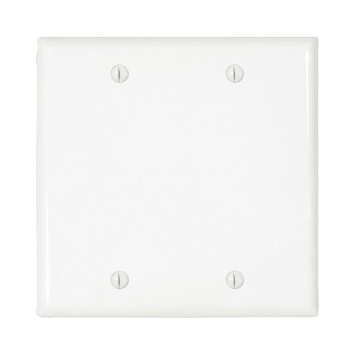 PART,WALL PLATE,2 GANG,BLANK