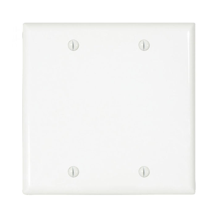 PART,WALL PLATE,2 GANG,BLANK