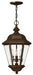 Medium Hanging Lantern