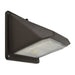 OUTDR,LED FLOOD LIGHT,MED,BLK