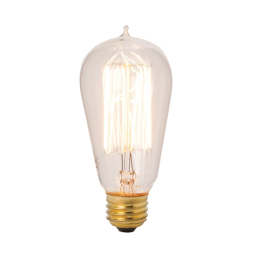 Edison Style 40 Watt Exposed Filament Bulb