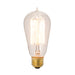 Edison Style 40 Watt Exposed Filament Bulb