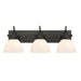 Hines 3 Light Bath Vanity