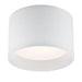 BENTON,1LT LED FLUSH,LRG,WHITE