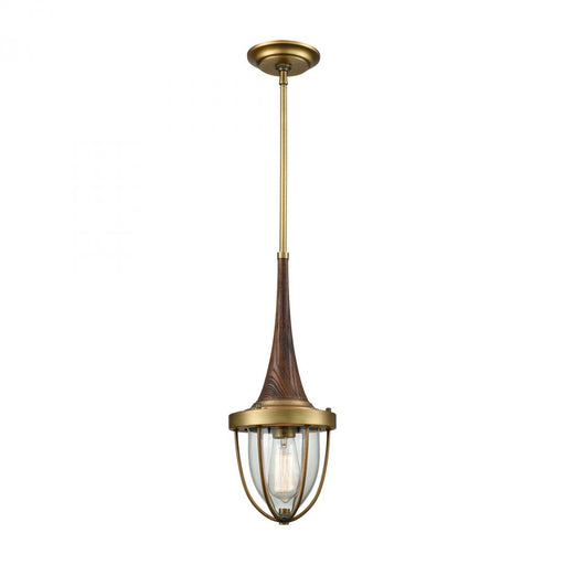 Sturgis 1-Light Mini Pendant in Brushed Antique Brass with Clear Blown Glass