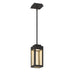 COOP,1LT LED PENDANT,MATTE BLK