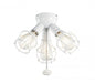 Industrial 3 Light Fixture LED