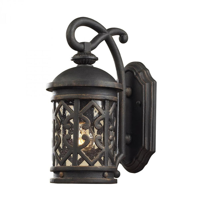 Tuscany Coast 1-Light Outdoor Wall Lantern in Weathered Charcoal