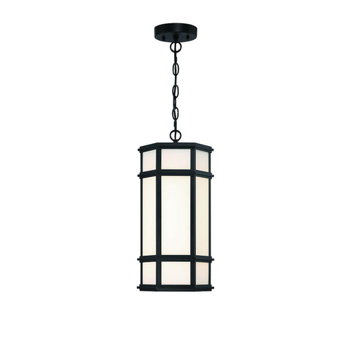 18" outdoor LED pendant