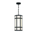 18" outdoor LED pendant