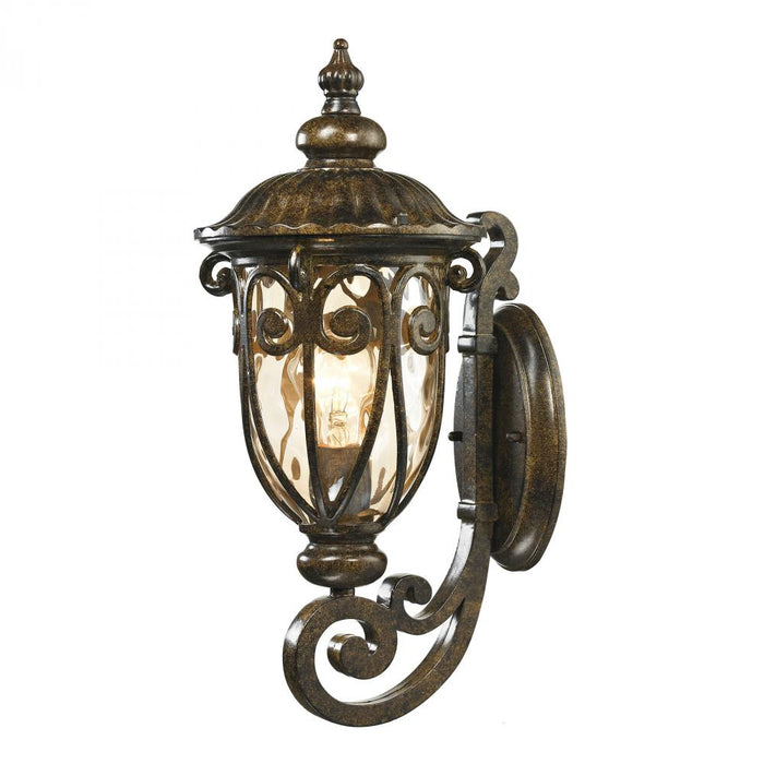 Logansport 1-Light Outdoor Wall Lamp in Hazelnut Bronze