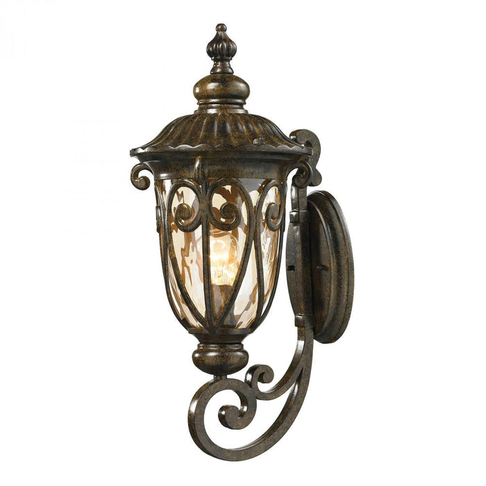 Logansport 1-Light Outdoor Wall Lamp in Hazelnut Bronze