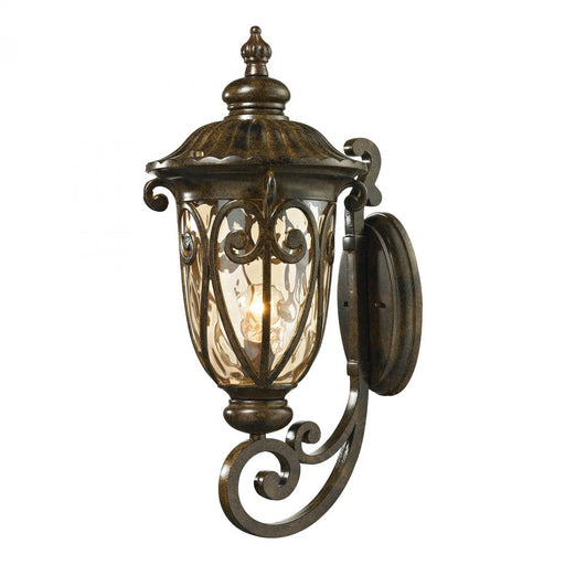 Logansport 1-Light Outdoor Wall Lamp in Hazelnut Bronze