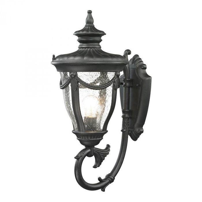 Anise 1-Light Outdoor Wall Lamp in Textured Matte Black