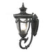 Anise 1-Light Outdoor Wall Lamp in Textured Matte Black