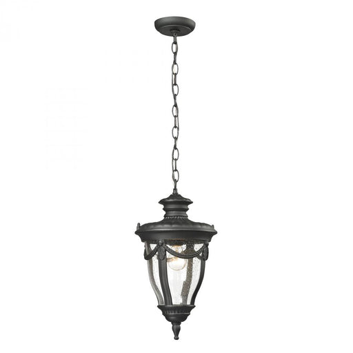 Anise 1-Light Outdoor Pendant in Textured Matte Black