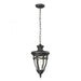 Anise 1-Light Outdoor Pendant in Textured Matte Black