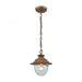 Searsport 1-Light Outdoor Pendant in Dark Wood