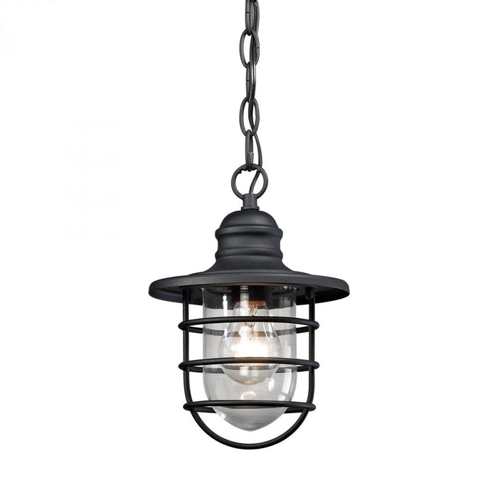 Vandon 1-Light Outdoor Pendant in Textured Matte Black