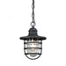Vandon 1-Light Outdoor Pendant in Textured Matte Black