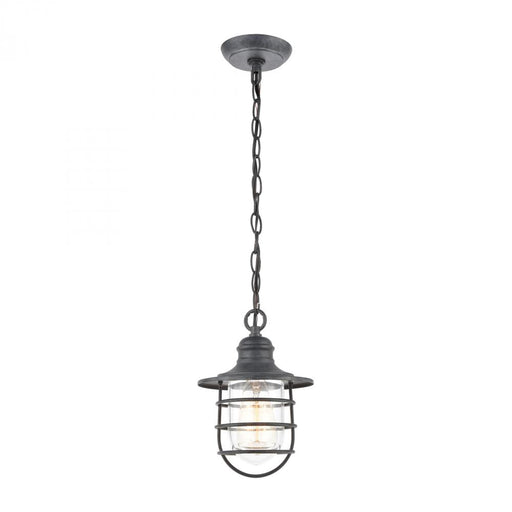 Vandon 1-Light Hanging in Aged Zinc with Clear Glass