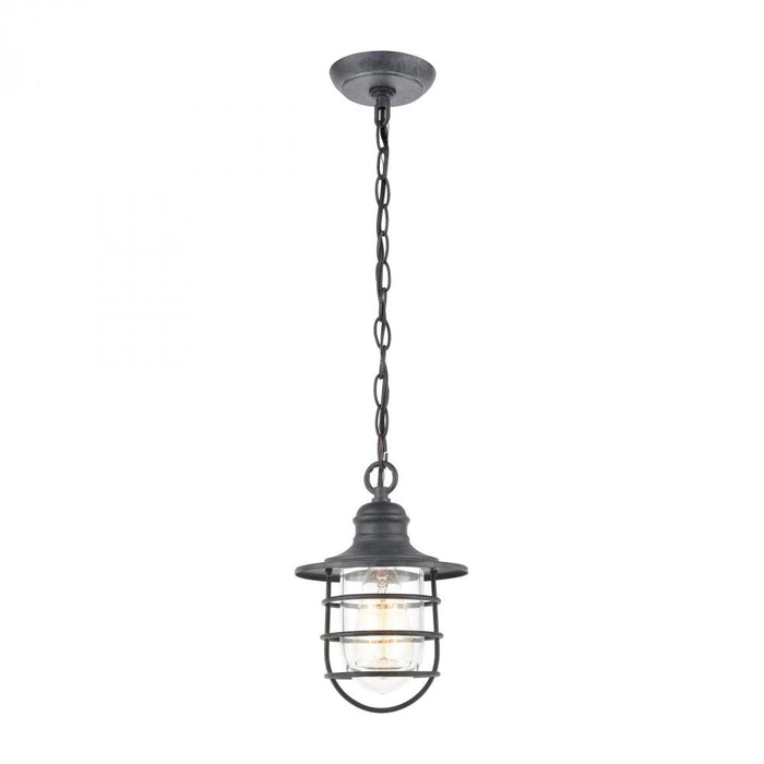 Vandon 1-Light Hanging in Aged Zinc with Clear Glass