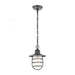 Vandon 1-Light Hanging in Aged Zinc with Clear Glass